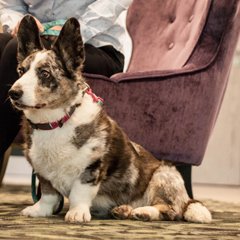 ULUBIEŃCY MILE WIDZIANI