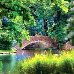 Cieplice sztuką i przyrodą malowane