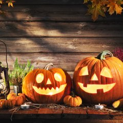 Jesienne pakiety pobytowe w Masurii