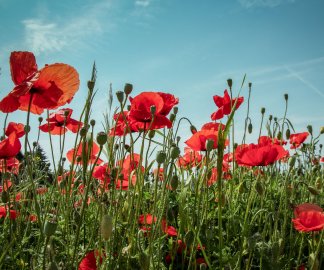 3 nieoczywiste pomysły na majowy weekend