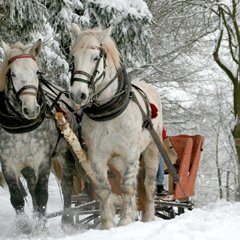 Niech sanki świszczą jak błyskawica...