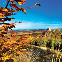 Listopadowy Długi Weekend