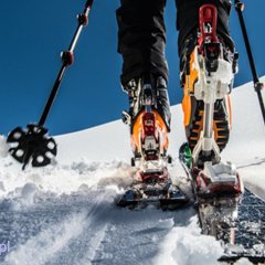 Skitury, czyli wejścia na fokach