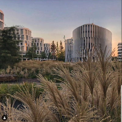 social sound garden hotel