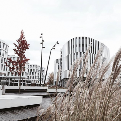 social sound garden hotel