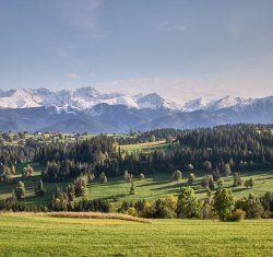 Highest quality international 2012