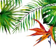 Hawajskie Party w Café Bałtyk 29.04.2018