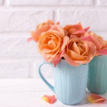 25.05 - 27.05.2018 promocja specjalna na Dzień Mamy 