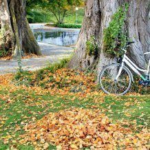 Radwege