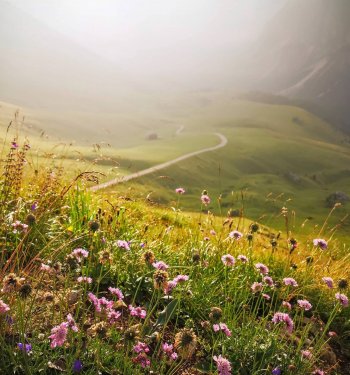 Nieznane okolice Białki Tatrzańskiej - szlak na Magurki z Ochotnicy