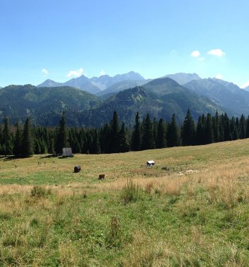 Dzień w Tatrach z dzieckiem – plan wycieczki