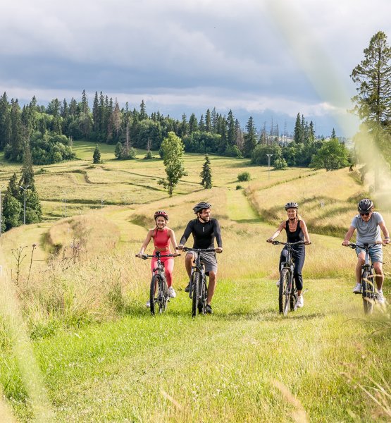 Szeroki wyb&oacute;r rower&oacute;w
