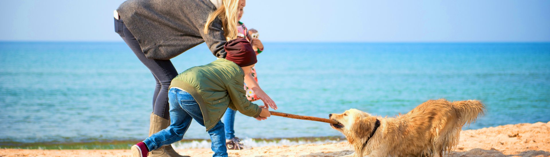 Czy na każdą plażę można wejść z psem?