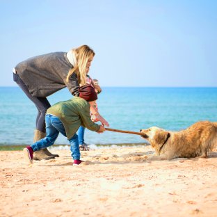 Czy na każdą plażę można wejść z psem?