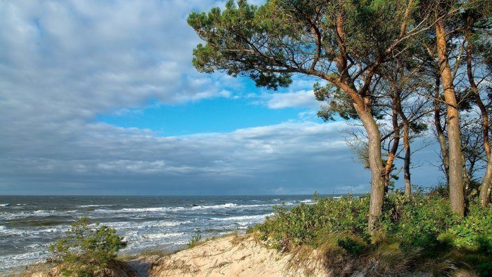 Black Friday w Uzdrowisku Kołobrzeg S.A.