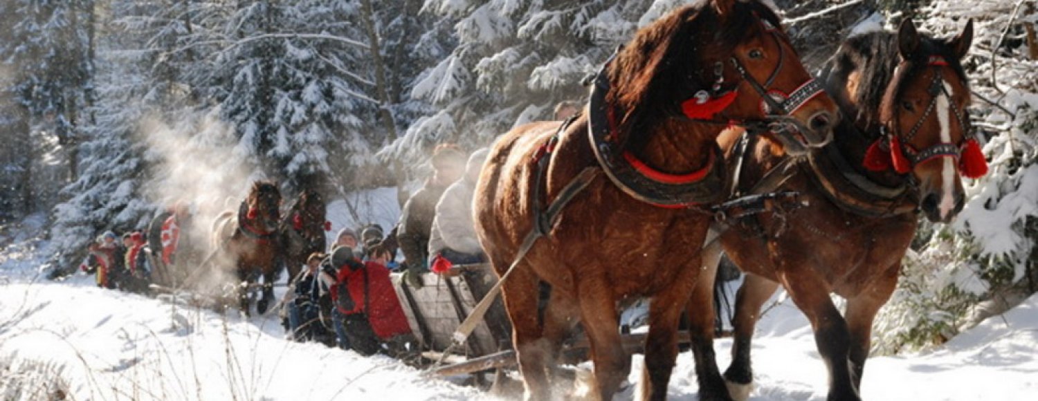 Horse sleighs