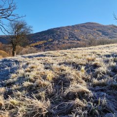 W te dni warto wybrać się w Bieszczady. Czeka tam, to czego wszyscy chcą