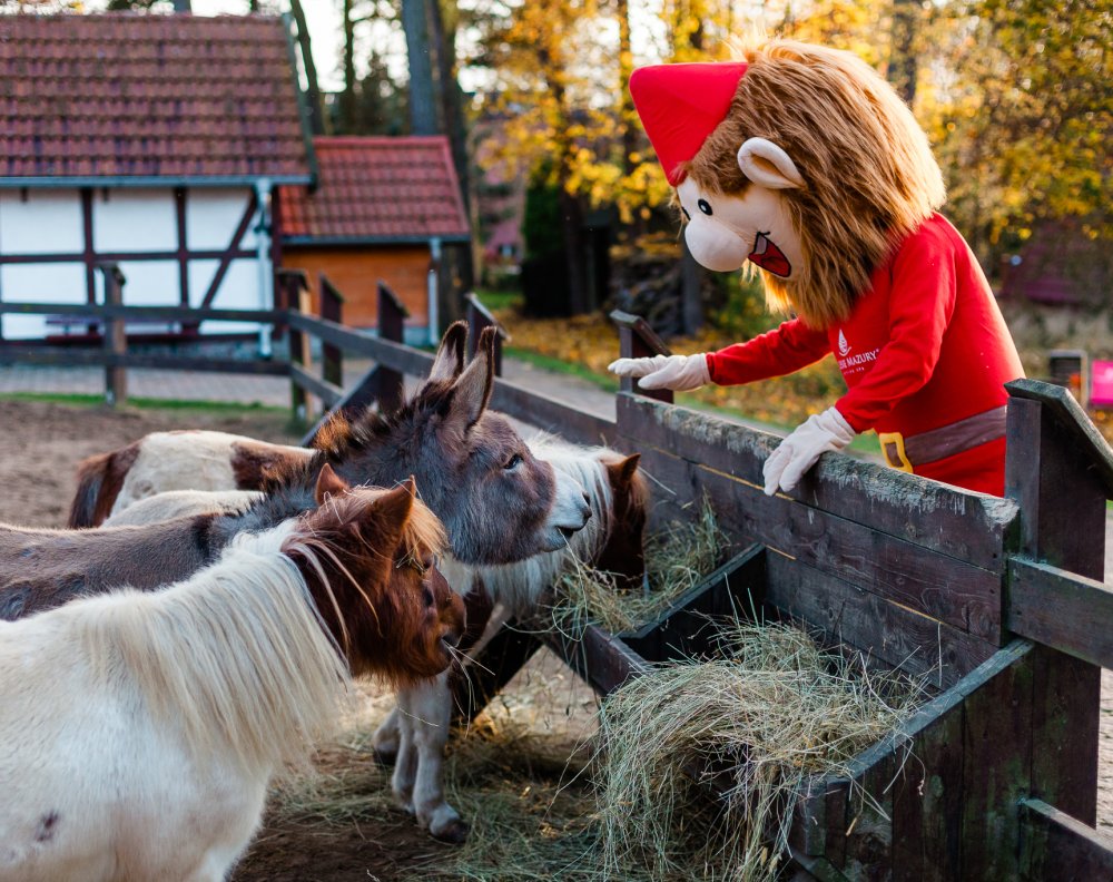 Navštivte zvířátka, kdykoli chcete