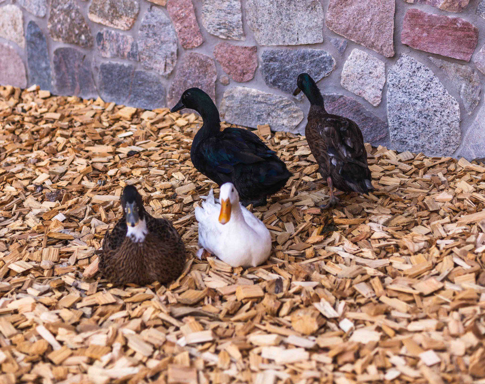 NATURAL CHILDREN&rsquo;S FARM