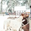 FAMILY NEW YEAR STAY IN MAZURY FIRST MINUTE