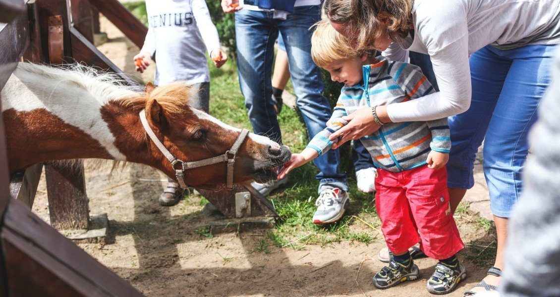 Hotel Ideal For Children Zalesie Mazury Active Spa