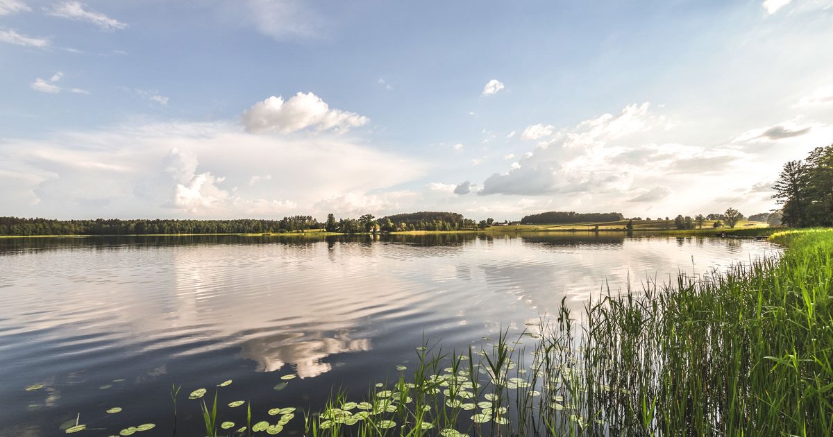 Zalesie Mazury Active Spa