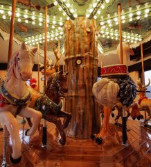 Karuzela wenecka już działa &ndash; zobacz pierwsze uruchomienie!