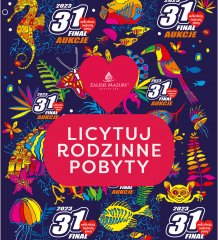 Zalesie w 31 Finale Wielkiej Orkiestry Świątecznej Pomocy! 