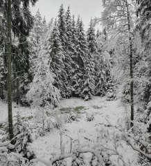 Grudzień powitał nas śniegiem