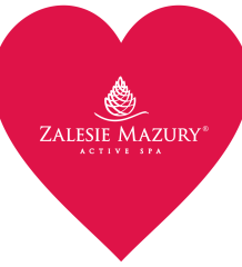 Zalesie na 33. finále Velkého orchestru vánoční charity!