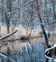 Odpočinek na Mazurách v zimě - co stojí za to dělat?