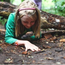 Wakacje 2017  - animacje dla dzieci - Tajemnicza Przeprawa 