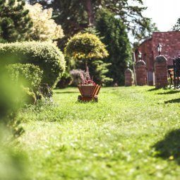 Przebudzenie wiosny w Zalesiu