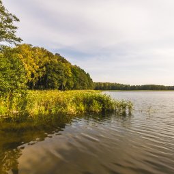 Wiosenne migawki w Zalesie Mazury Active SPA