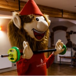 Zaleś wraca do formy