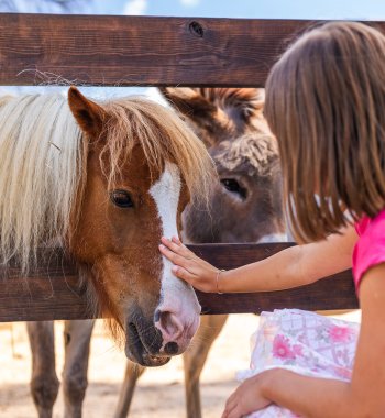 Planujemy już wyjazd w przyszłym roku