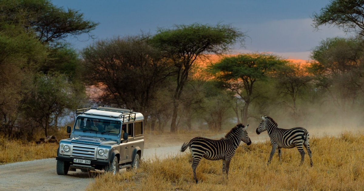 NYERERE NATIONAL PARK - 1 DAY