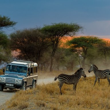 NYERERE NATIONAL PARK - 1 DAY