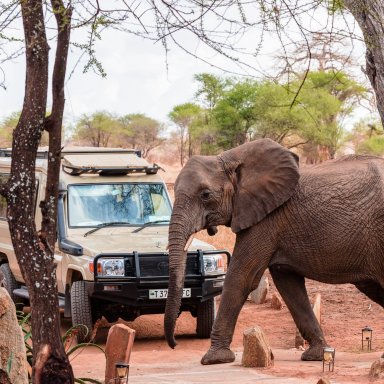 TARANGIRE & NGORONGORO