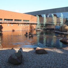 Jak zmieniło się wrocławskie ZOO?