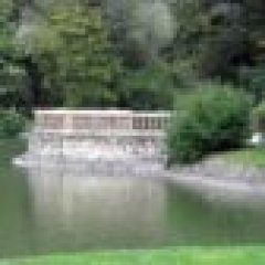 Zachwycający Park Południowy