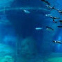 Afrykarium we Wrocławiu