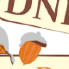 Dzień Babci i Dziadka