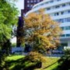 Poczta oraz OVO - przełomowe obiekty we Wrocławiu