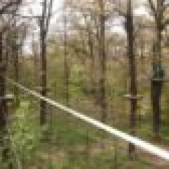 Park Linowy na Wyspie Opatowickiej