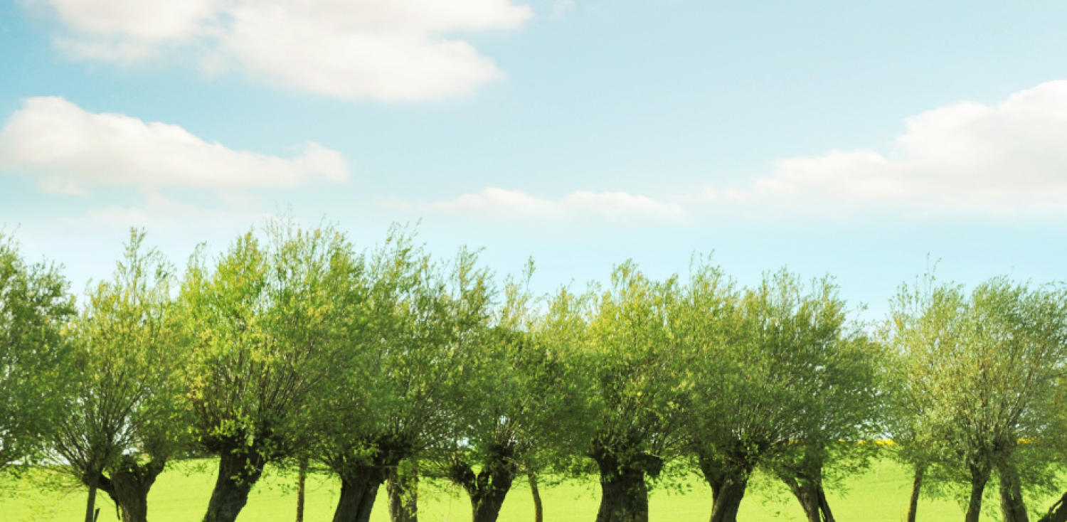 Moda na Mazowsze? Odkryj Ziemię Chełmońskiego