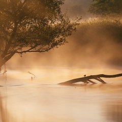 4 nietypowe atrakcje na długi weekend czerwcowy