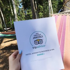 2019 TripAdvisor Quality Certificate