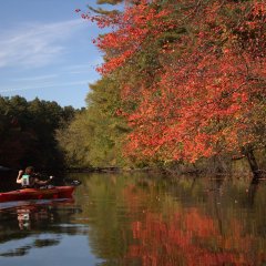 Kajakiem po Mazowszu Zachodnim