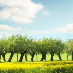 Moda na Mazowsze? Odkryj Ziemię Chełmońskiego